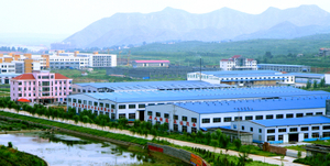 企业全景图.JPG